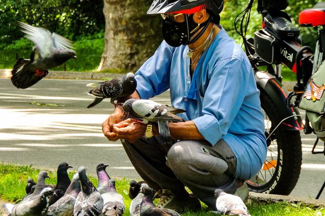 a cyclist stops to feed some pigeons in Central Park